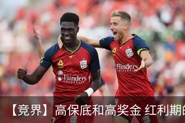 【竞界】高保底和高奖金 红利期的世界杯裁判